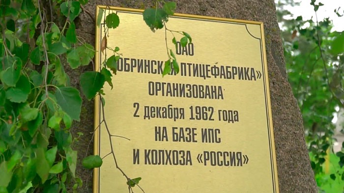 Дать не рыбу, а удочку – как проект «Региональная инициатива» помогает предприятиям выбраться из банкротства