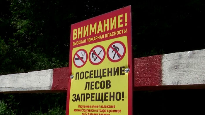 Ограничения на посещение лесов действуют в 107 районах Беларуси