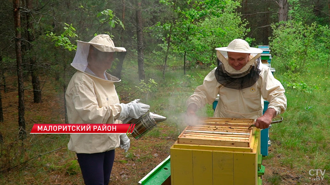Непростой медовый сезон в Беларуси. Как майские заморозки повлияли на урожай?-2