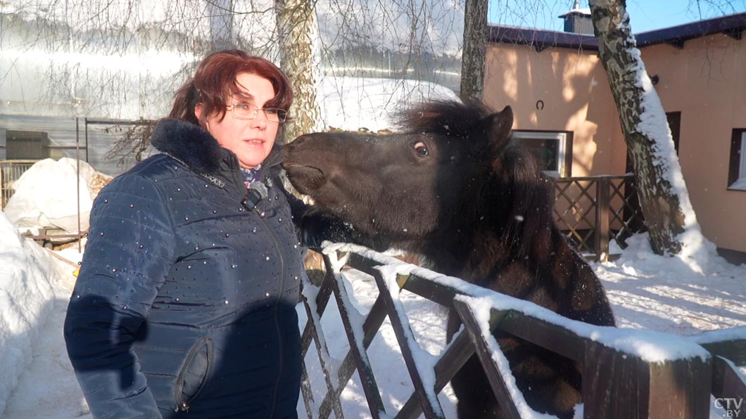 «Зверополис» недалеко от Минска! Белоруска завела необычных питомцев и создала агроусадьбу – показываем-14