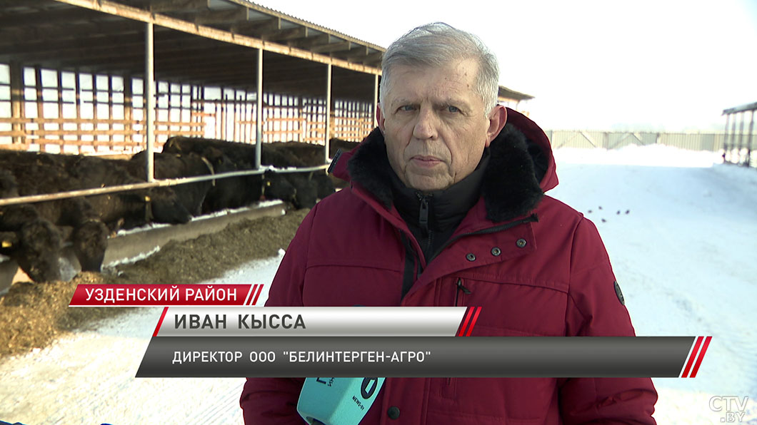 Два крупных комплекса по выращиванию бычков возведут в Минской области-4