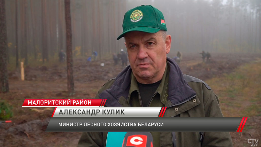 Новый этап акции «Дай лесу новае жыццё» стартовал в Беларуси -6
