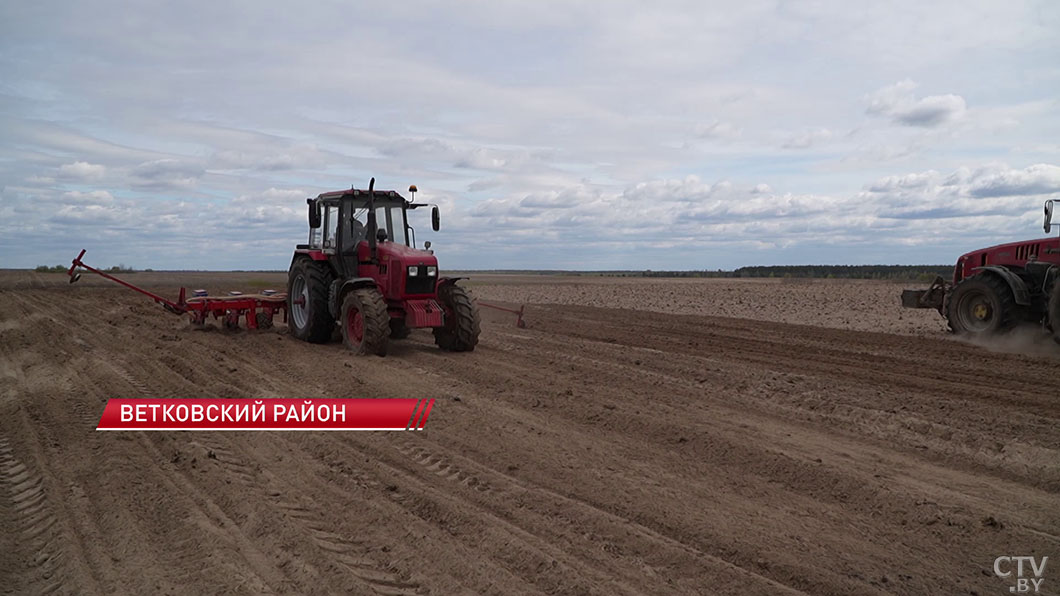 Более 1 млн гектаров пашни уже засеяно! Массовый сев кукурузы продолжается в Беларуси-2