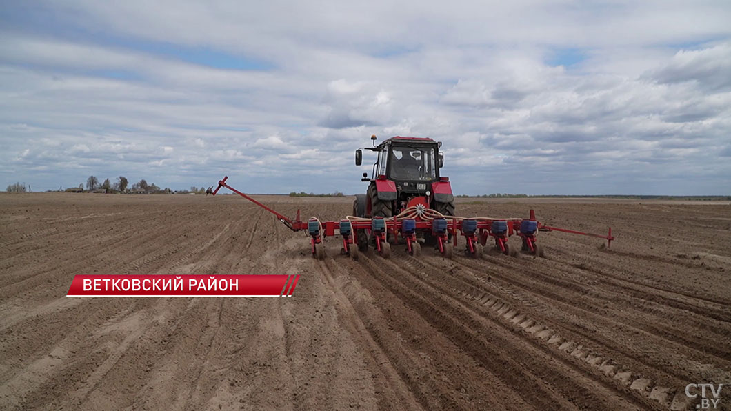 Более 1 млн гектаров пашни уже засеяно! Массовый сев кукурузы продолжается в Беларуси-10