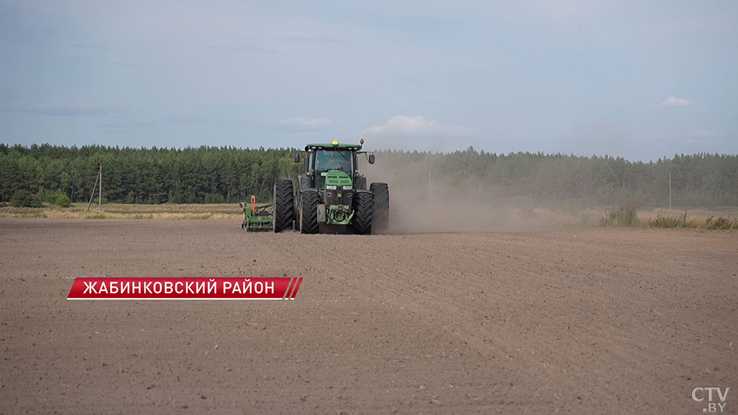 Засеяно свыше 80% площадей! Как проходит сев озимого рапса в хозяйстве «Рогознянский»?-2