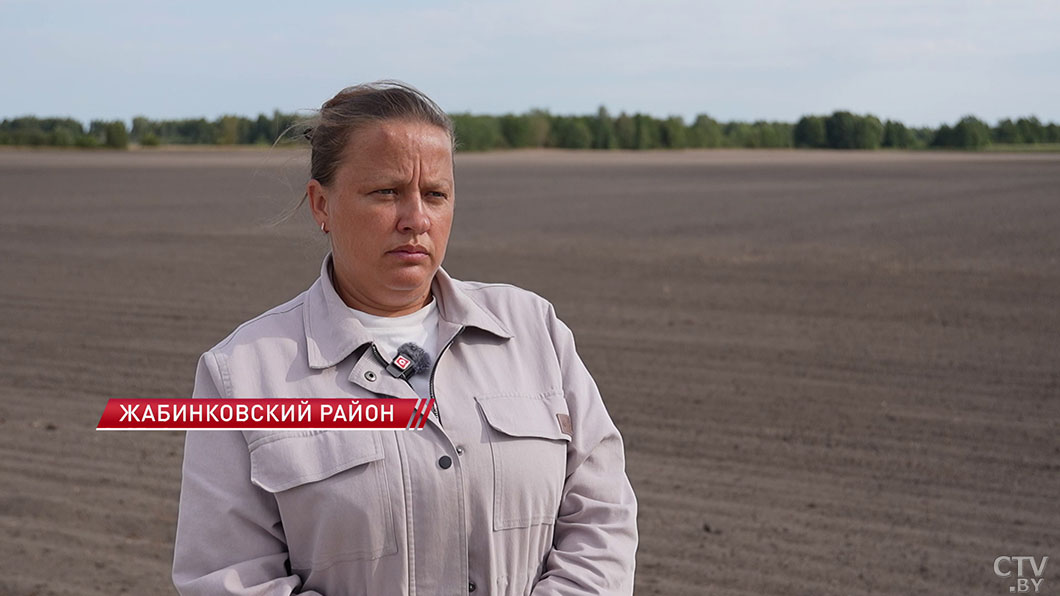 Засеяно свыше 80% площадей! Как проходит сев озимого рапса в хозяйстве «Рогознянский»?-6