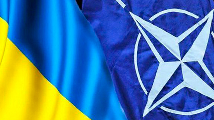«Не мудрое решение». В НАТО высказались об отправке войск в Украину