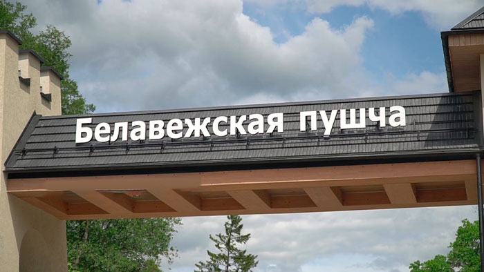 В Беловежской пуще строят Международный научно-исследовательский центр изучения дикой природы