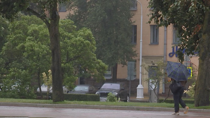 От +6 с порывистым ветром и грозами – погода в Беларуси в конце июня