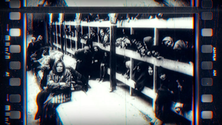 Нас могло быть 17 миллионов. Вот какой след оставила война на демографии в Беларуси-12