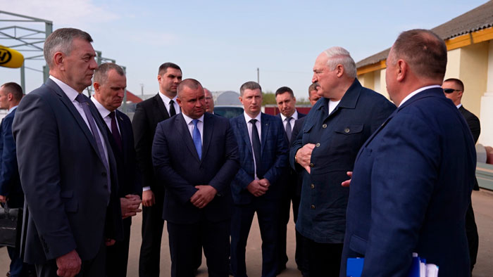 Лукашенко: в Могилёвской области пора прекращать эти разбои и кормить зерном скот!