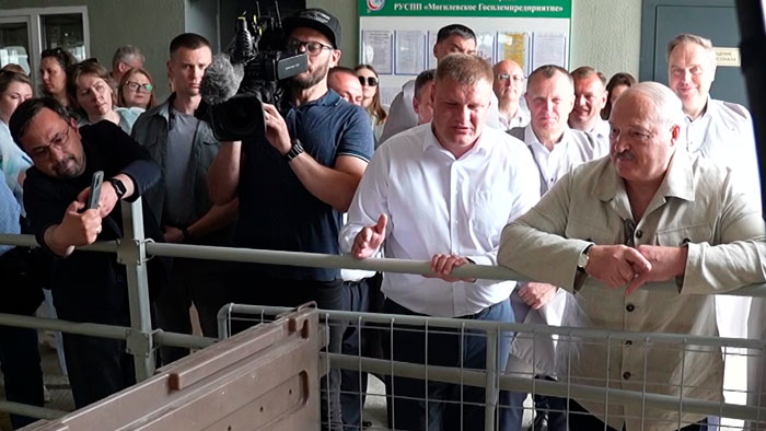 Лукашенко о козоводстве: должно быть удвоение, пока есть спрос!