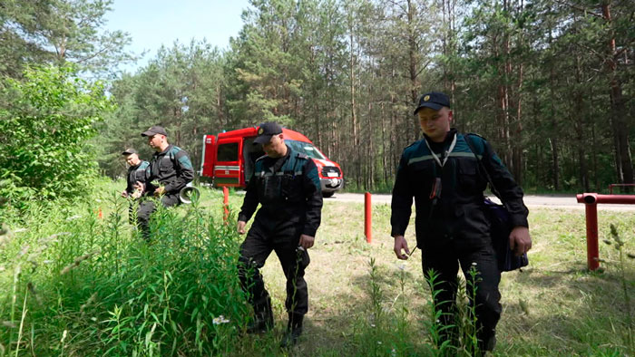 В Беларуси за сутки в лесах потерялись три человека