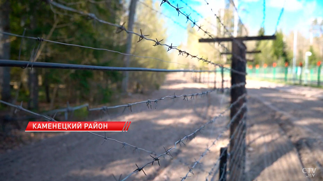 Белорусские разведчики вернулись домой. Помощь Лукашенко и работа спецслужб – детали операции-7