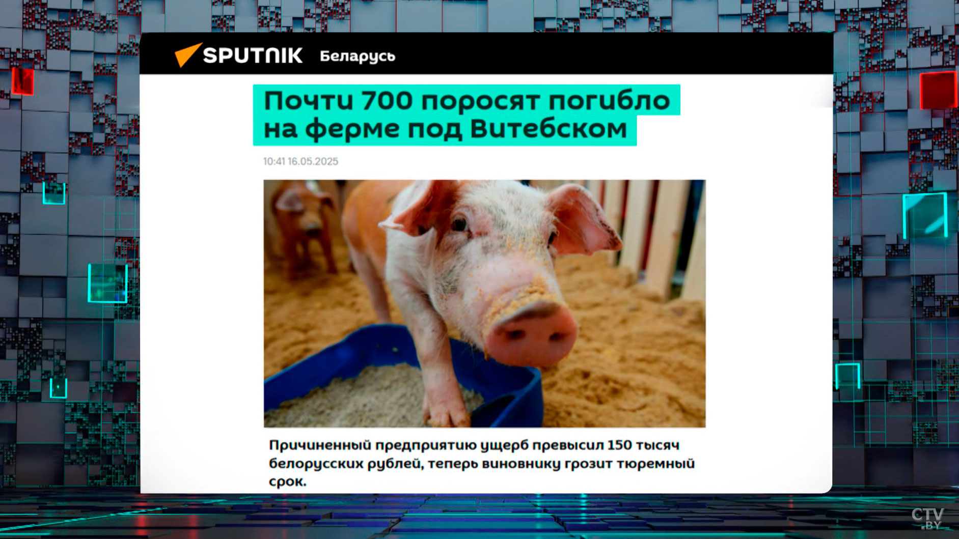 В Червенском районе из-за падежа недосчитались около 500 коров. Работники хозяйств под следствием-4