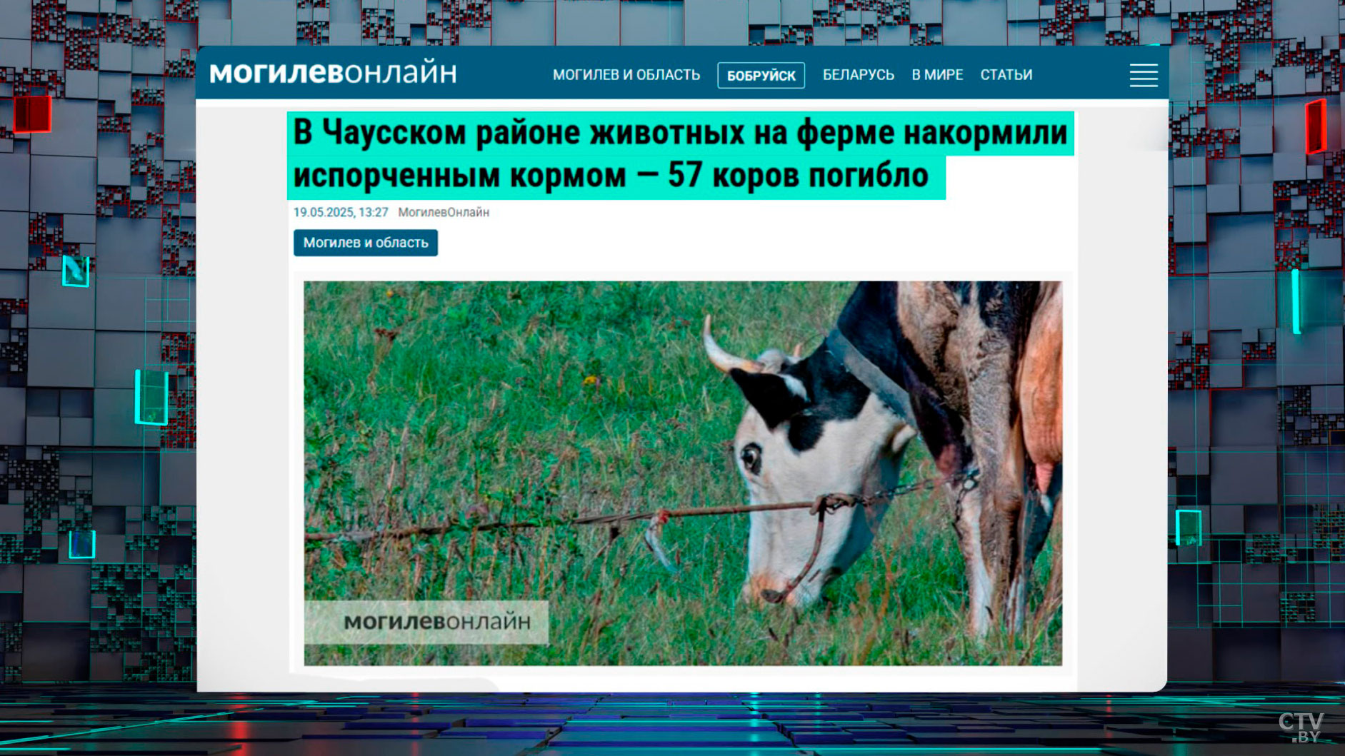 В Червенском районе из-за падежа недосчитались около 500 коров. Работники хозяйств под следствием-2