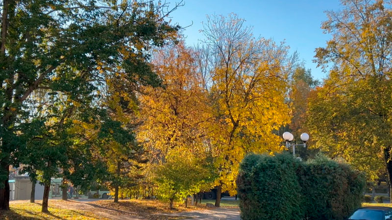 От -1 до +17 с дождями – прогноз погоды в Беларуси на неделю