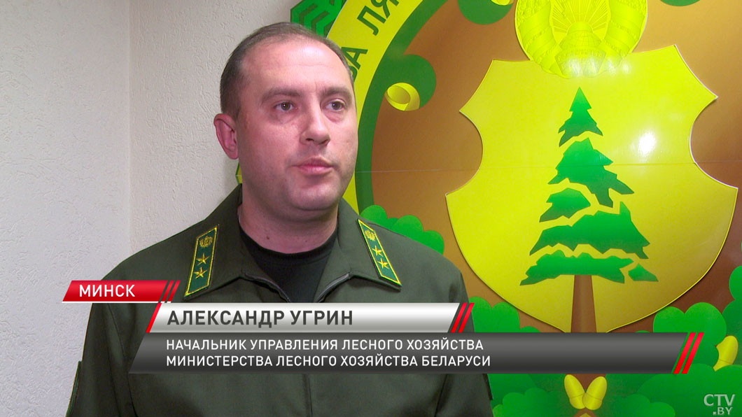 Последствия устраняют всей страной – выяснили, как обстоят дела в Могилёве после страшного урагана-28