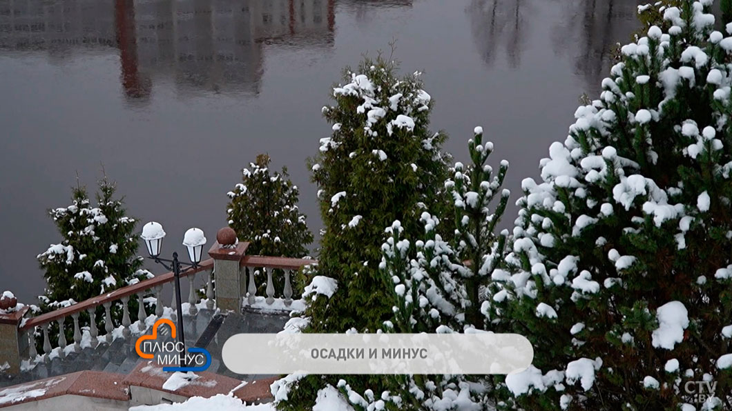 Мокрый снег, дождь и гололёд – новая порция осадков ждёт белорусов на неделе-2