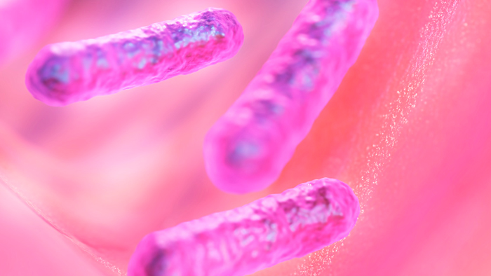 У берегов Турции обнаружили бактерии Vibrio, которые могут вызвать холеру-0