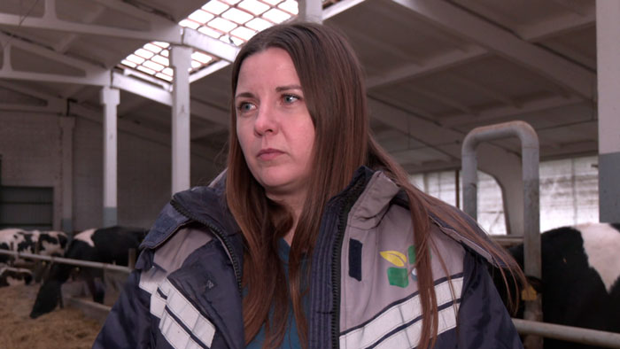 Мир и стабильность! В 2025-м 46 иностранцев в Дзержинском районе получили белорусское гражданство