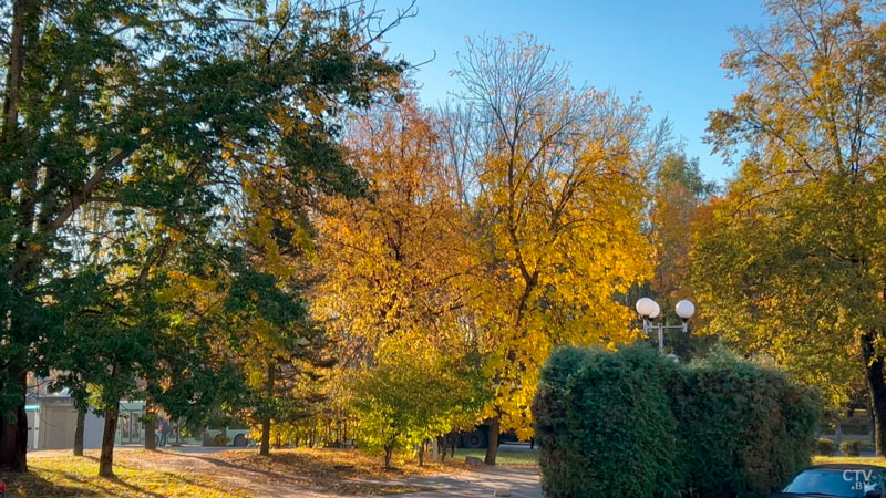 От -1 до +17 с дождями – прогноз погоды в Беларуси на неделю-2