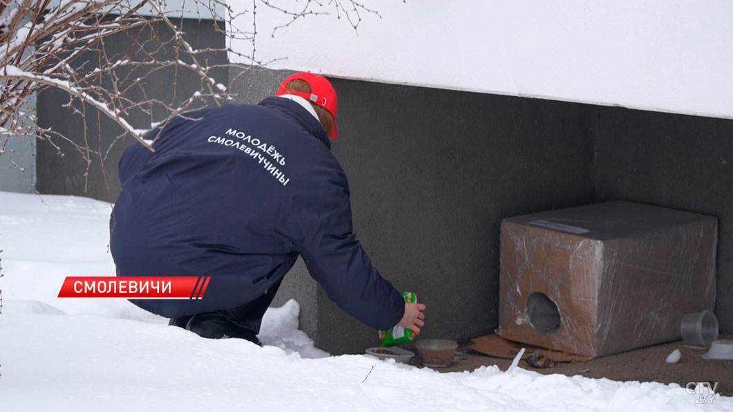 Молодёжь Минщины помогает бездомным животным пережить холода-2