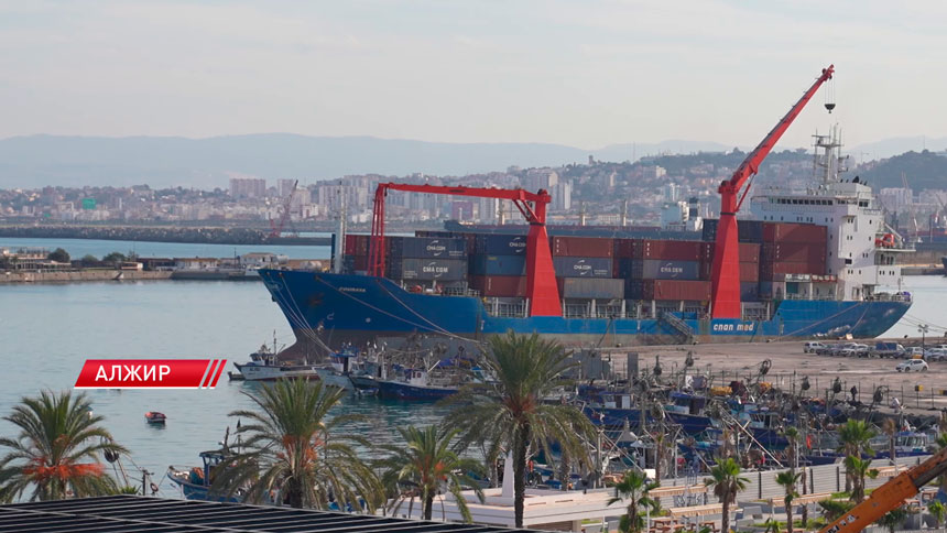 Ирина Новикова: Беларусь начинает формировать международные транснациональные корпорации