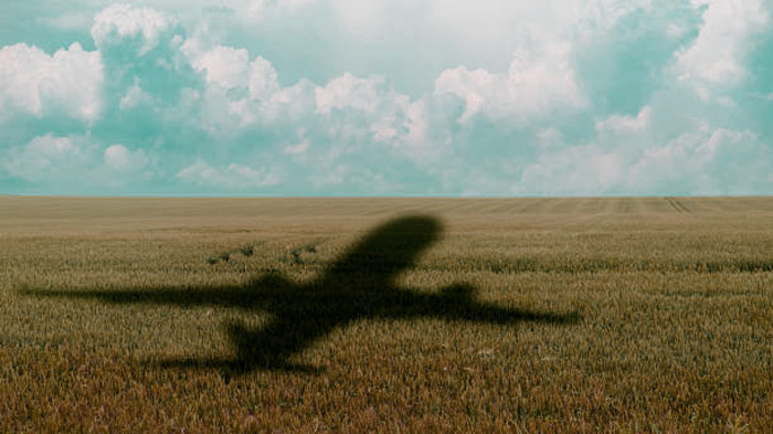 Авиакомпании Республики Корея ведут диалог с РФ о возобновлении прямых рейсов-0