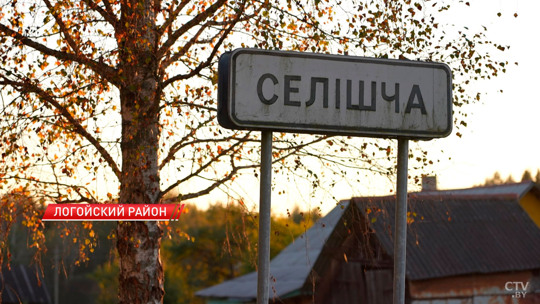 Бурый, косолапый, неуклюжий: неожиданный гость зачастил за мёдом в одну из деревень под Логойском-2