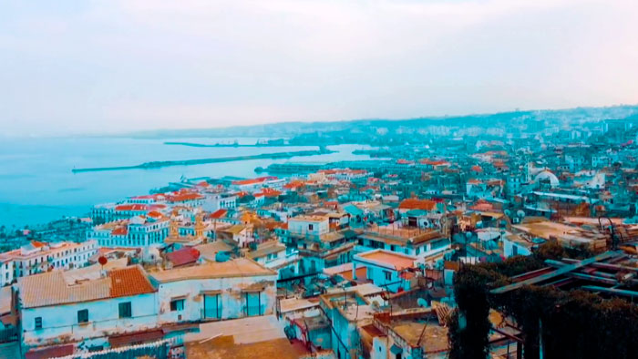 Беларусь может стать главным партнёром для обеспечения продовольственной безопасности Алжира