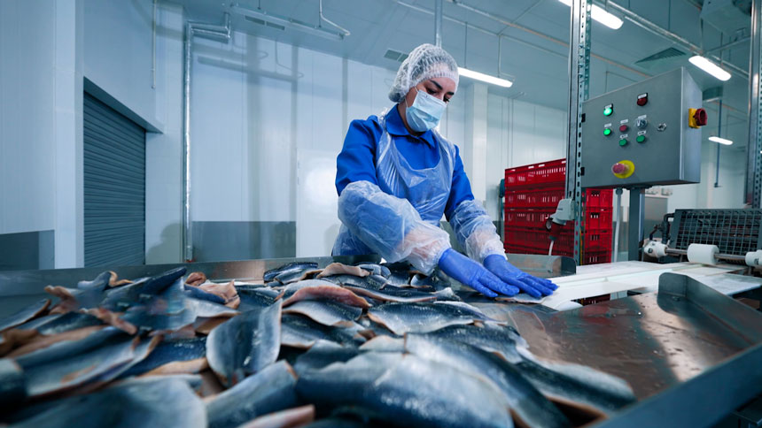 Новое предприятие по переработке рыбы и морепродуктов открылось в Минске