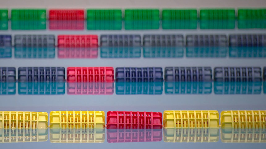 В Минске стартовал международный турнир по плаванию на призы Коплякова В Минске стартовал международный турнир по плаванию на призы Коплякова