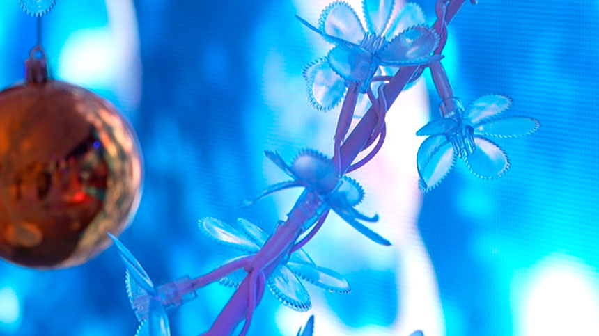 Образцовый ансамбль танца «Чабарок» удостоен специальной премии Президента Беларуси