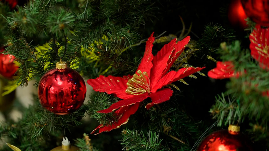 Благотворительный марафон «От всей души» прошёл в Большом театре Беларуси