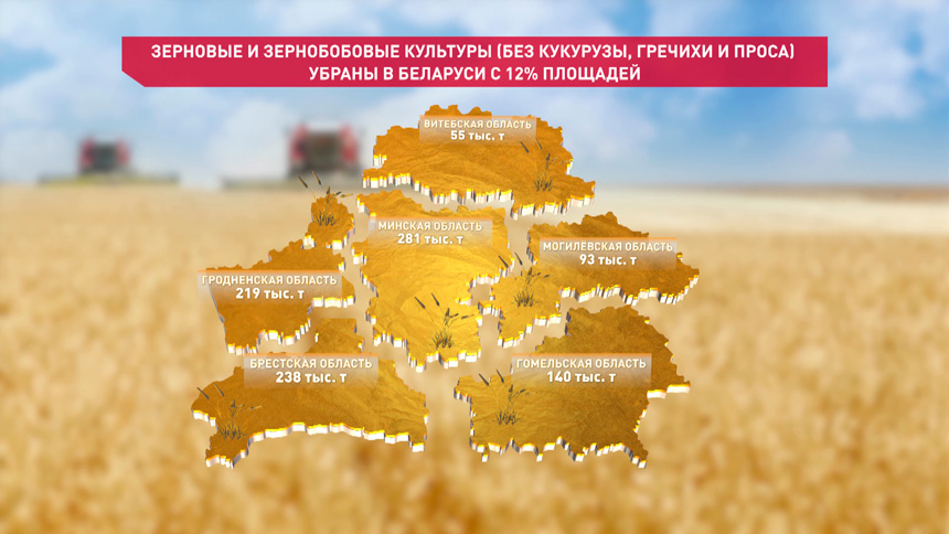 В Беларуси намолотили первый миллион тонн зерна нового урожая