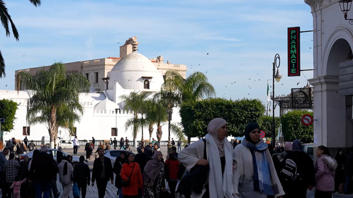 Алжир – новая точка опоры: Беларусь развивает партнерство с Африкой, меняющей мир