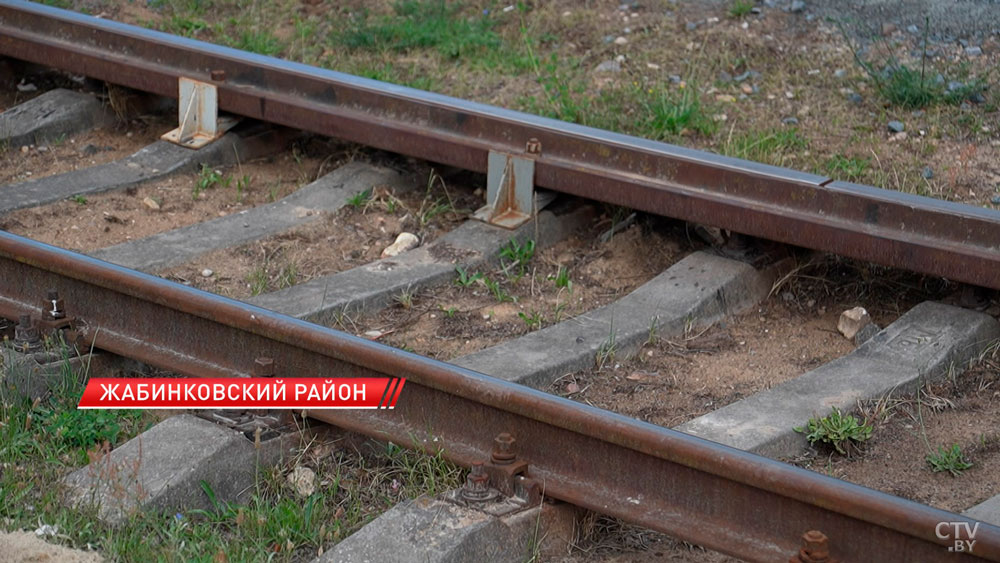 Помощь без бюрократии и в срок: как райагросервисы меняют облик района-2 Помощь без бюрократии и в срок: как райагросервисы меняют облик района-2