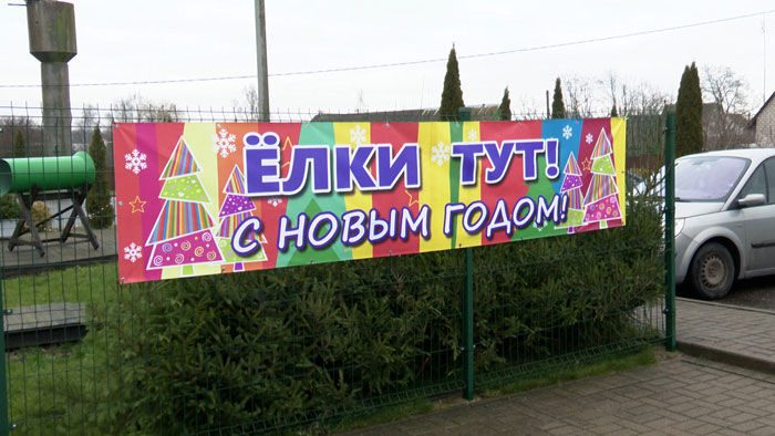 Более 200 ёлочных базаров открылись в Минской области