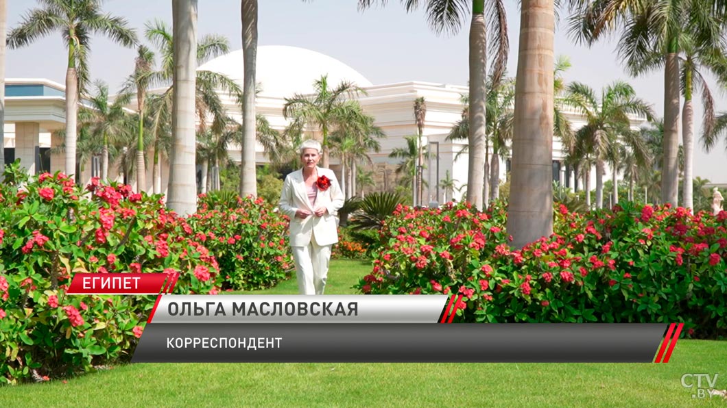 Белорусские чипсы в Египте! В каких сферах сотрудничаем с Арабской Республикой?-2 Белорусские чипсы в Египте! В каких сферах сотрудничаем с Арабской Республикой?-2