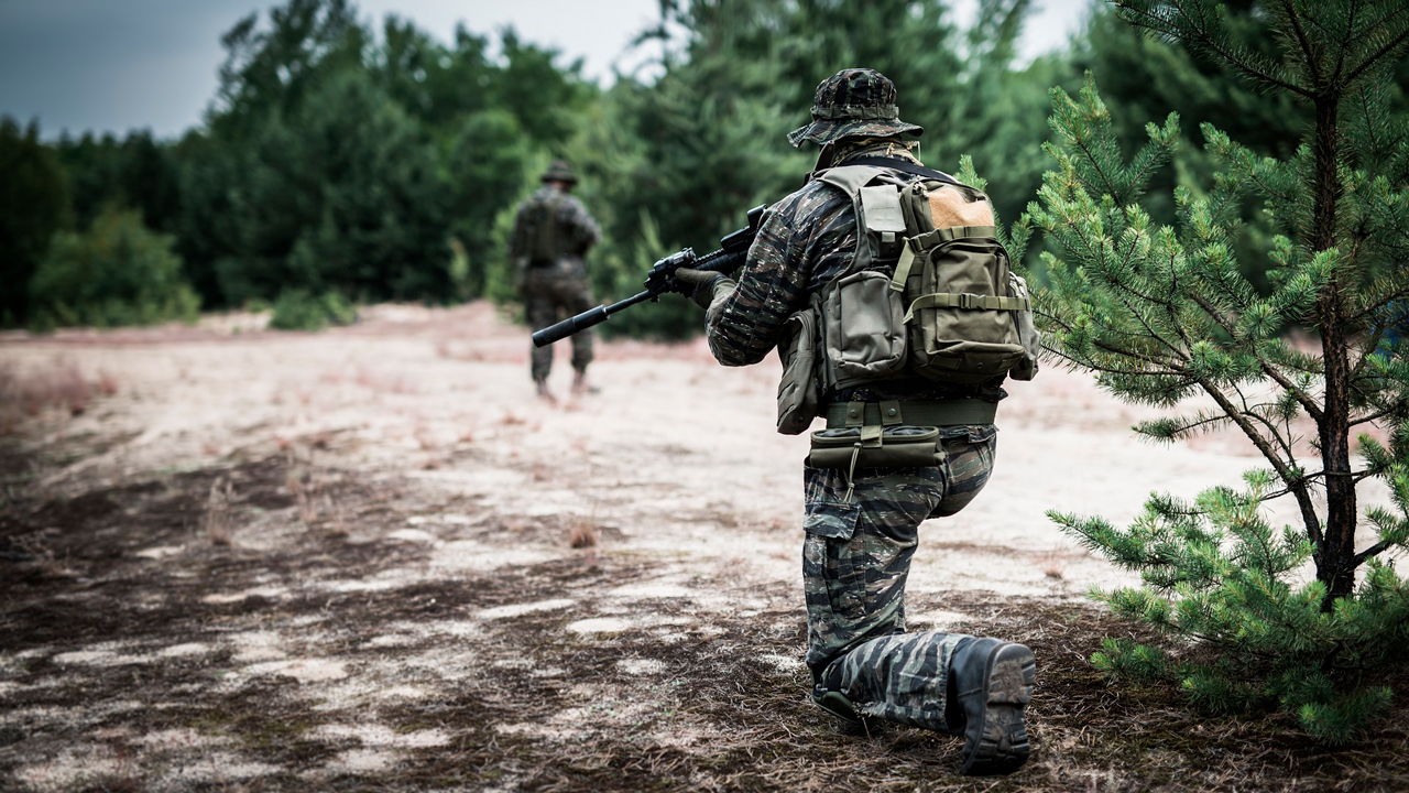 ВСУ перебросили на юг ДНР группу иностранных наемников