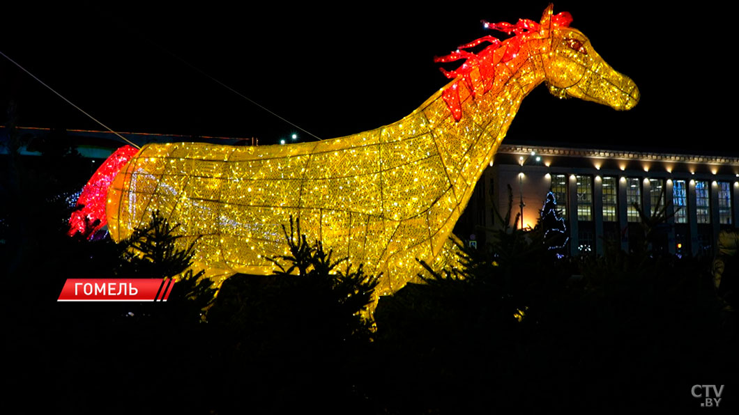 Главную ёлку зажгли в Гомеле-8