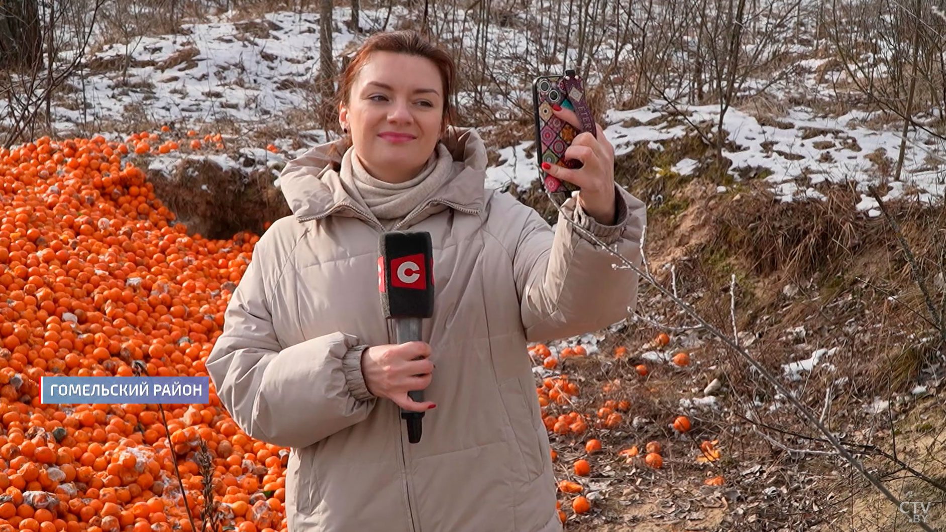 Огромную свалку из тонны мандаринов нашли под Гомелем. Что грозит виновному?-12