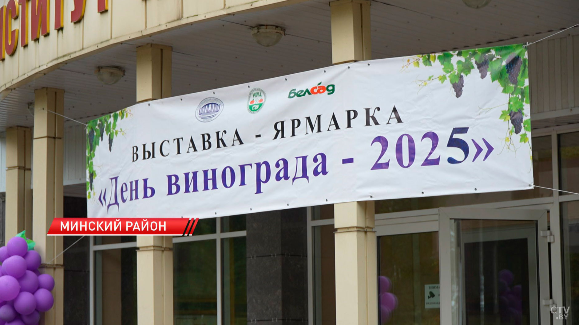 Особый сорт винограда для производства натурального сухого вина вывели в Беларуси-8
