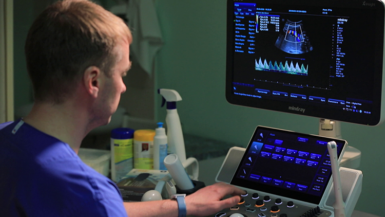 Здоровье нации как основа устойчивости страны! Говорим о социальных ориентирах в День соцработника Здоровье нации как основа устойчивости страны! Говорим о социальных ориентирах в День соцработника