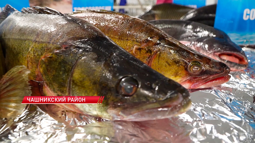 В Новолукомле запустили консервный завод по инициативе «Один район – один проект»-2