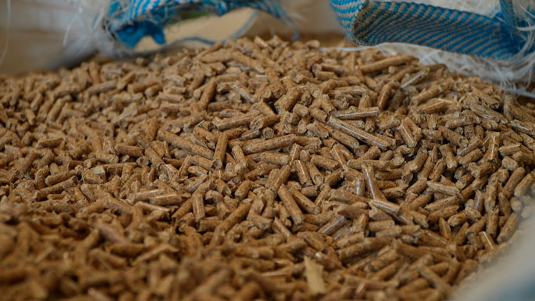 Белорусы стали меньше топить газом – свыше 70% котельных перешли на пеллеты и щепу