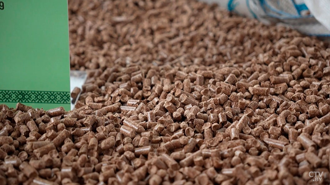 Белорусы стали меньше топить газом – свыше 70% котельных перешли на пеллеты и щепу-2