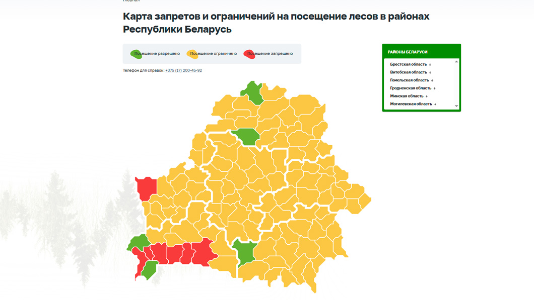 В семи районах Беларуси леса полностью закрыты для посещения-0