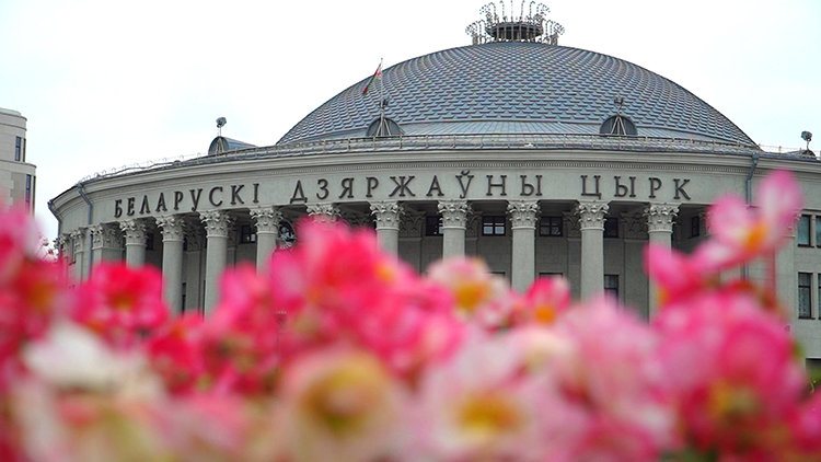 Этого не покажут обычному зрителю! Узнали, что находится в закулисье Белгосцирка